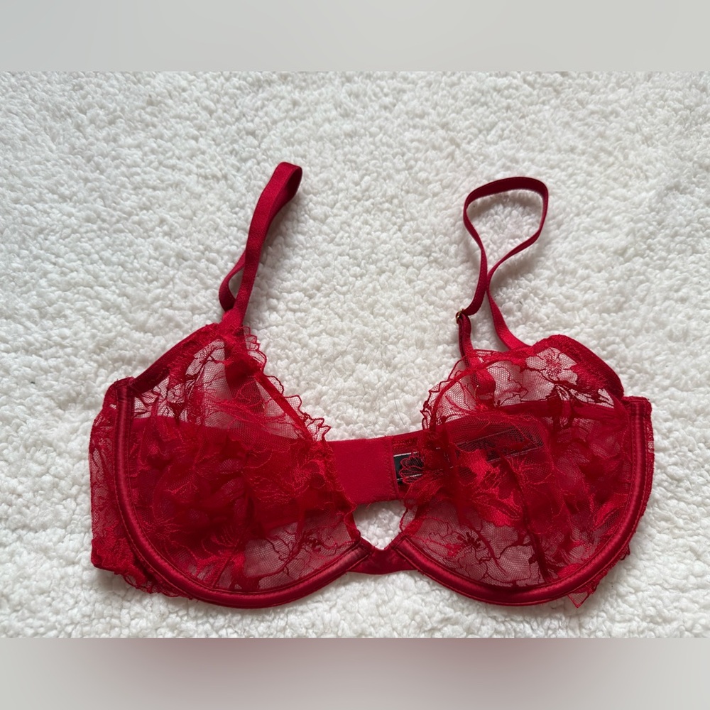 Victoria's Secret Red Lace Underwire Bra 34D Sheer Floral Lingerie
